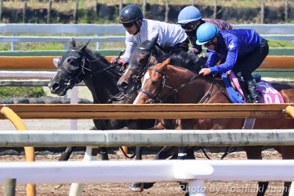阪神 9R 忘れな草賞【カラペルソナ】 阪神 9R 忘れな草賞【カラペルソナ】
