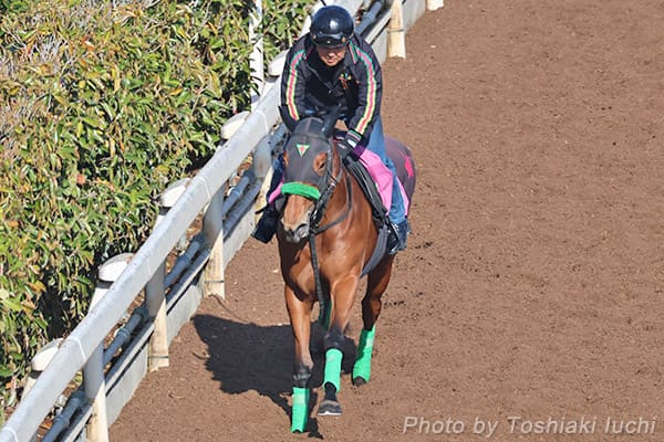 阪神 11R 桜花賞【ギャラボーグ】 阪神 11R 桜花賞【ギャラボーグ】