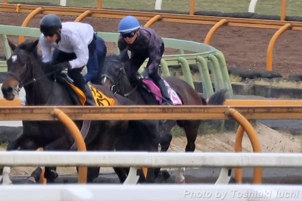 ��_ 2R 3�Ζ������y�h���S���O���[���A�z