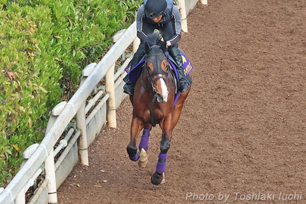 ���R 11R �H���܁y�A�h�}�C���N���b�Y�z