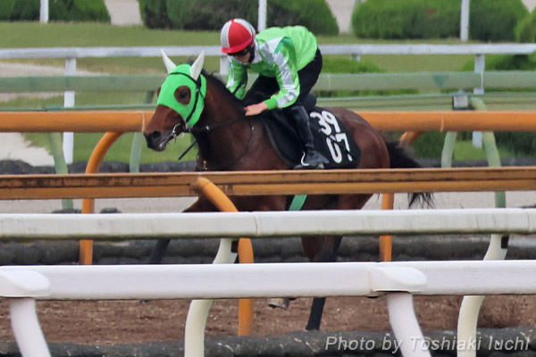 京都 4R 3歳未勝利【トンデトンデトンデ】 京都 4R 3歳未勝利【トンデトンデトンデ】