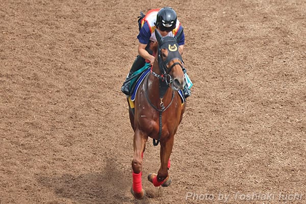 東京 5R 2歳新馬【レイデアルマス】 東京 5R 2歳新馬【レイデアルマス】