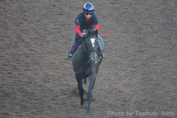 中京 7R 中京記念【ナムラコスモス】 中京 7R 中京記念【ナムラコスモス】