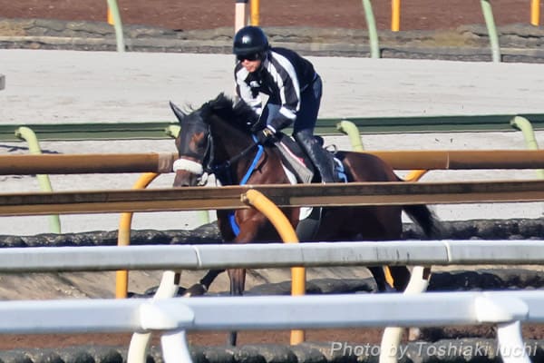 京都 1R 2歳未勝利【ベイビーブラザー】 京都 1R 2歳未勝利【ベイビーブラザー】