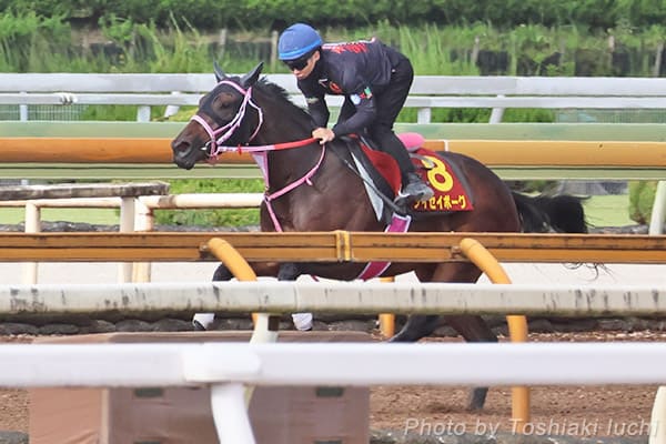 京都 11R 秋華賞【タイセイボーグ】 京都 11R 秋華賞【タイセイボーグ】