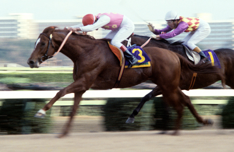 激レア競馬 馬券 名馬 テンポイント