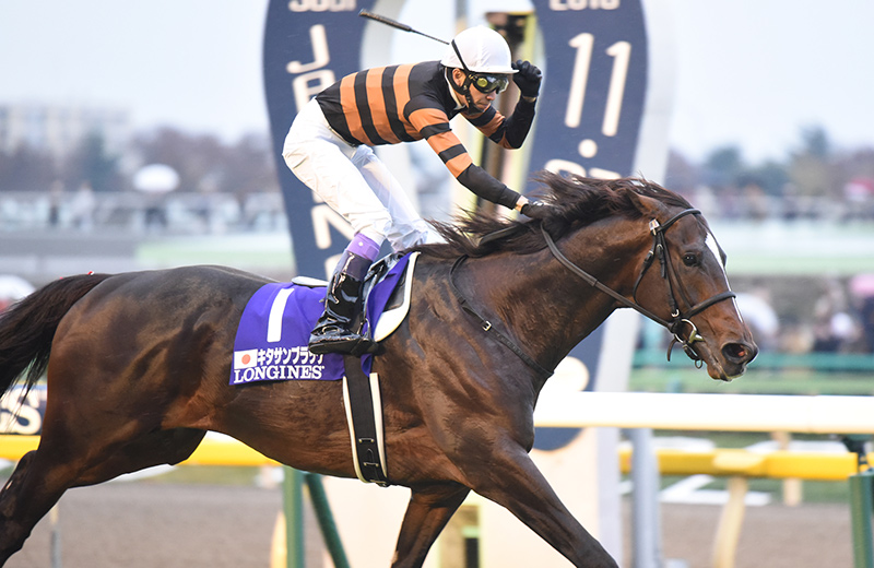 名馬メモリアル|JRA-VAN広場 キタサンブラック 国民的歌手とともにスター街道を駆け上がる