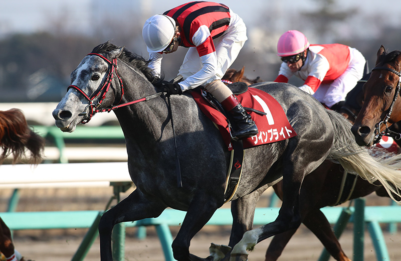 ウインブライト|名馬メモリアル|競馬情報ならJRA-VAN