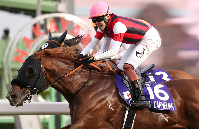 �E�C���J�[�l���A��