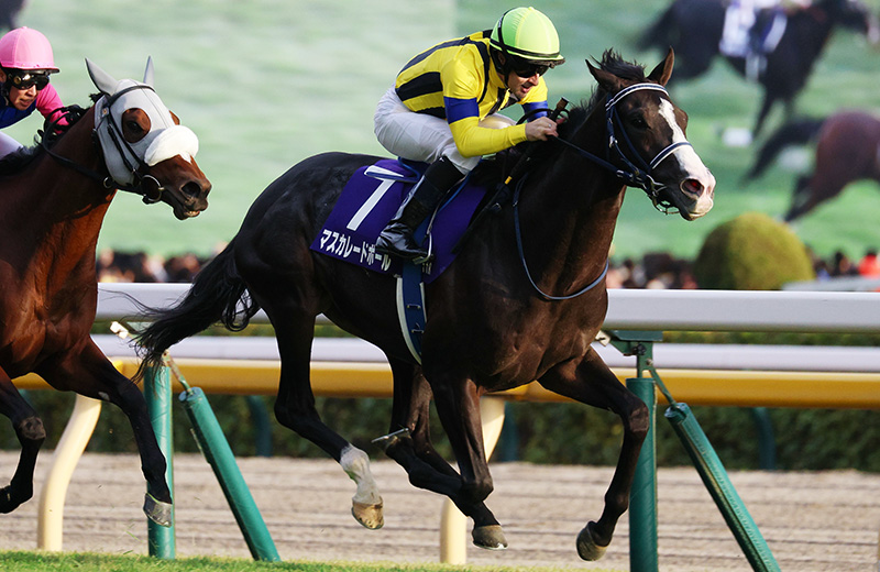 �}�X�J���[�h�{�[��