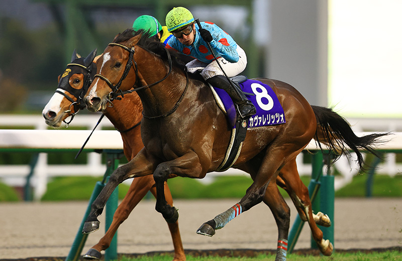 �J���@�����b�c�H