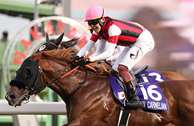 �E�C���J�[�l���A��