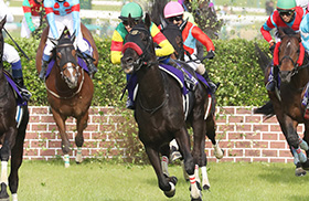 �G�R���f���G��