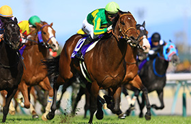 �T�g�m���[��