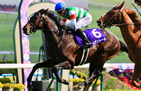 �w�f���g�[��