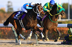 �_�u���n�[�g�{���h