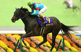 �G�l���W�R