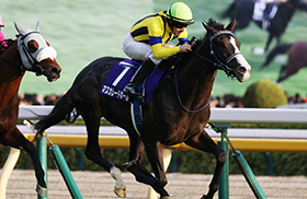 �}�X�J���[�h�{�[��