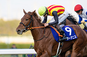 �X�^�[�A�j�X