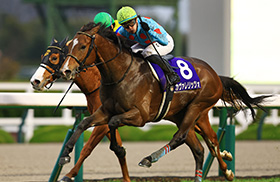 �J���@�����b�c�H