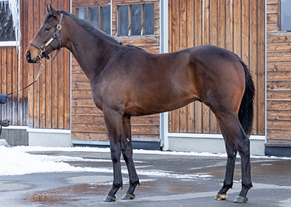 ヴァサヴォワール