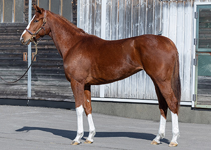 スワーヴキャサリン