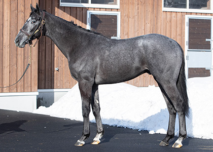 トロワヴァレー