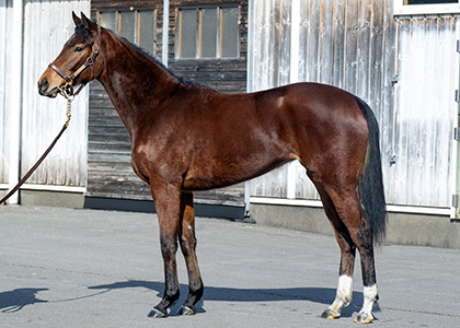 カナルサンマルタン