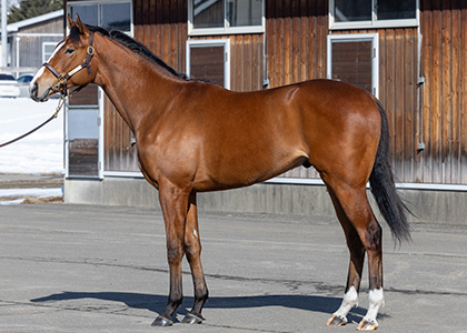 ガロアモジュール