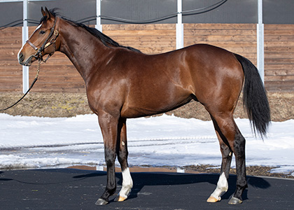 カレイジャスビート