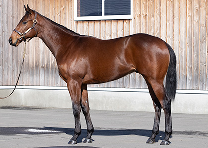 バートラガッツ