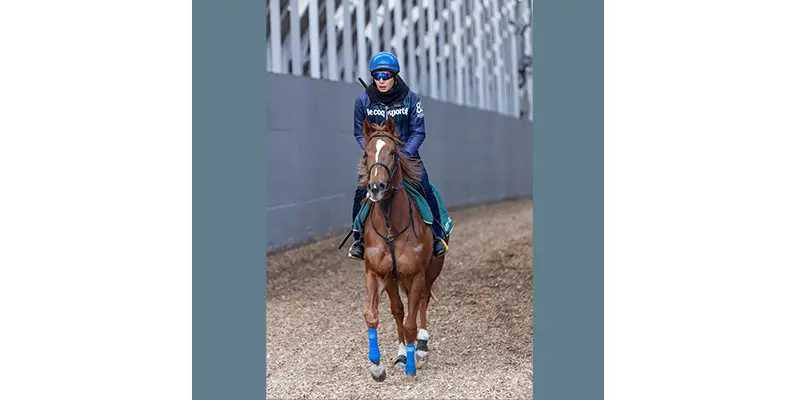 ���W���[�G���u����24