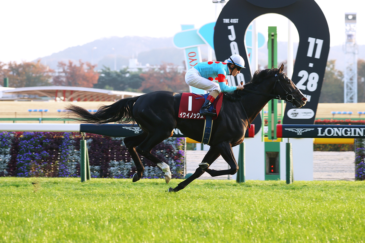 天皇賞(秋)2022 有力馬情報|G1特集|競馬情報ならJRA-VAN