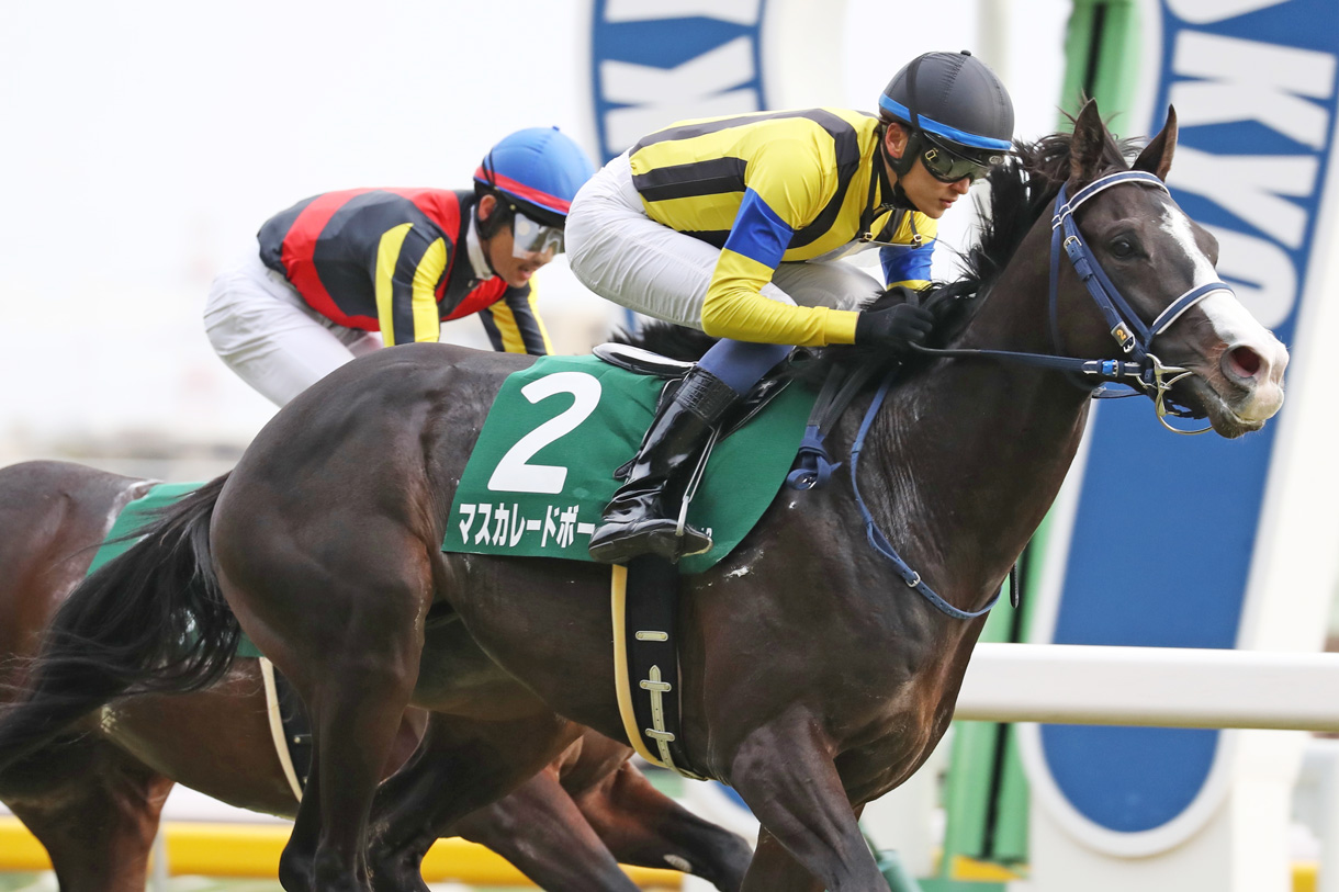 �}�X�J���[�h�{�[��