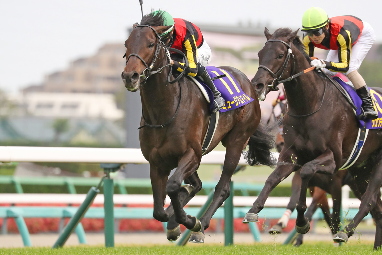 �~���[�W�A���}�C��