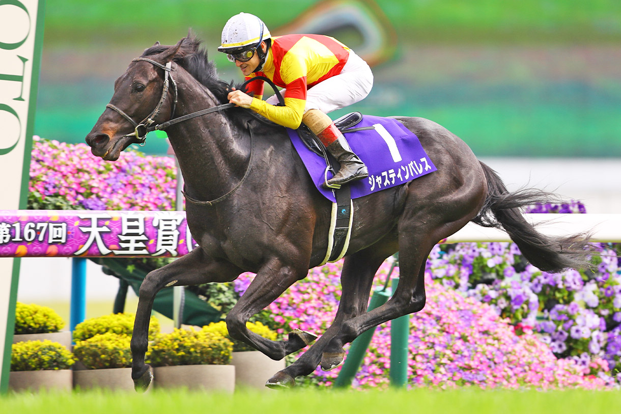 �W���X�e�B���p���X