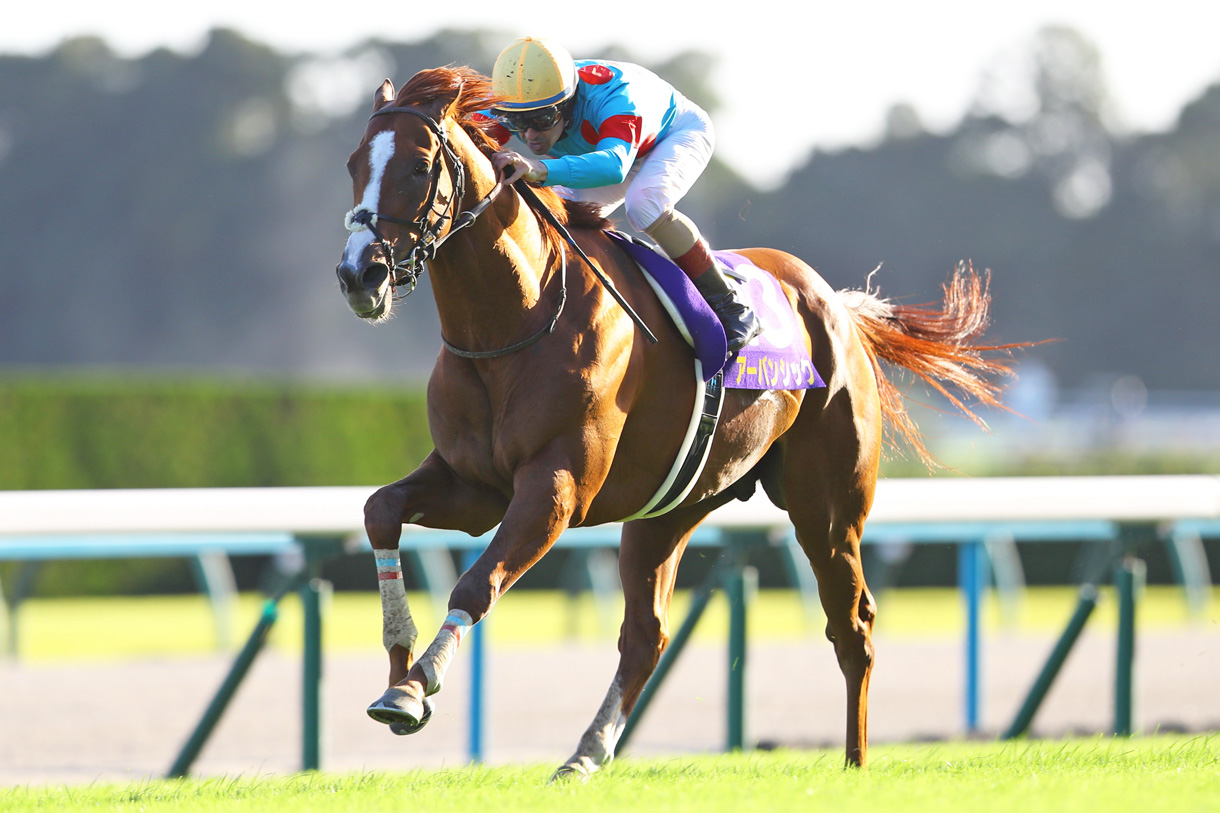 �A�[�o���V�b�N