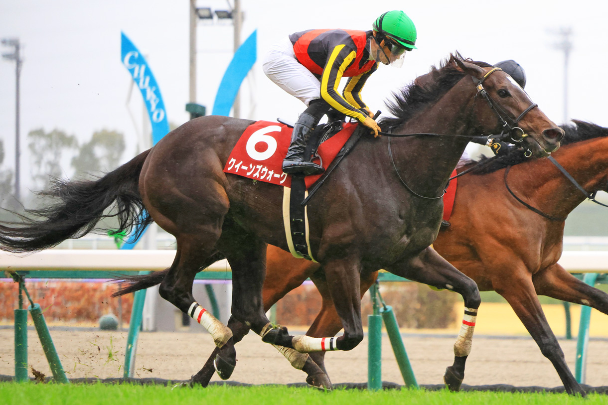 �N�C�[���Y�E�H�[�N