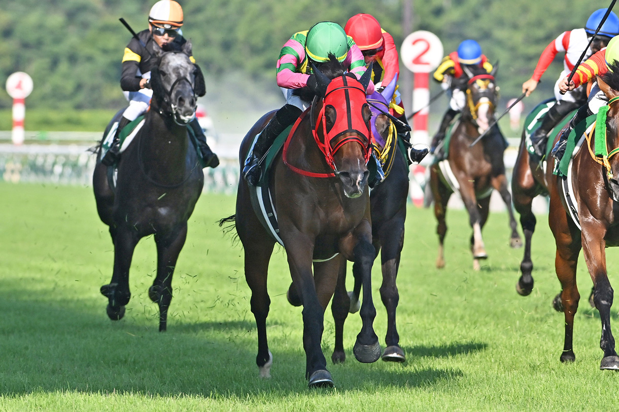 �V�����P�h