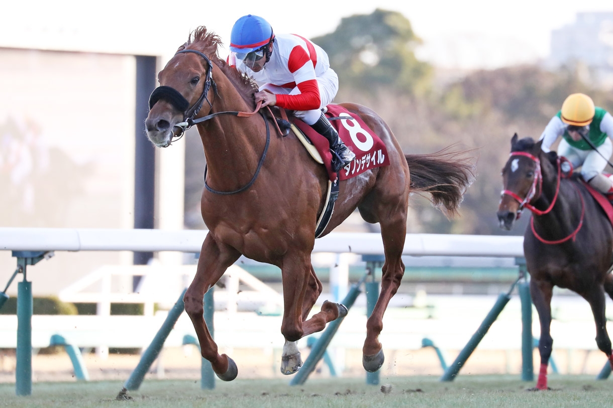 �_�m���f�T�C��