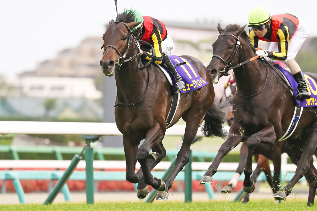 �~���[�W�A���}�C��