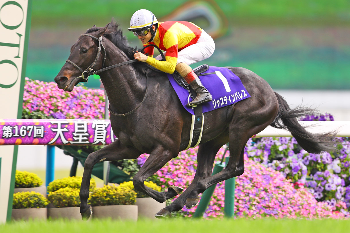 �W���X�e�B���p���X