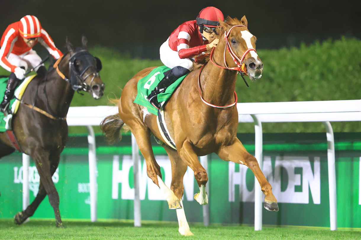 �V���G���y���[