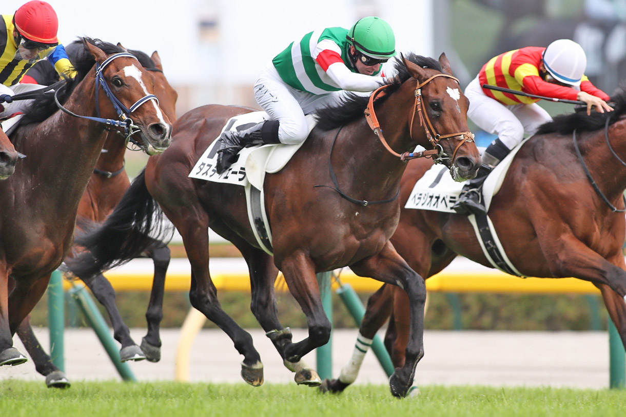 �^�X�e�B�G�[��