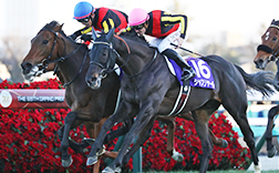 �ߋ��̌X��