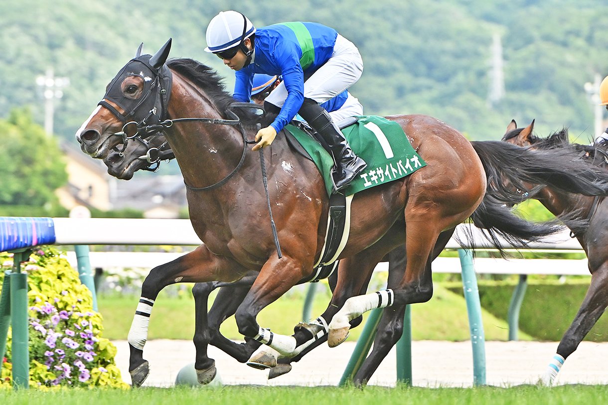 �G�L�T�C�g�o�C�I