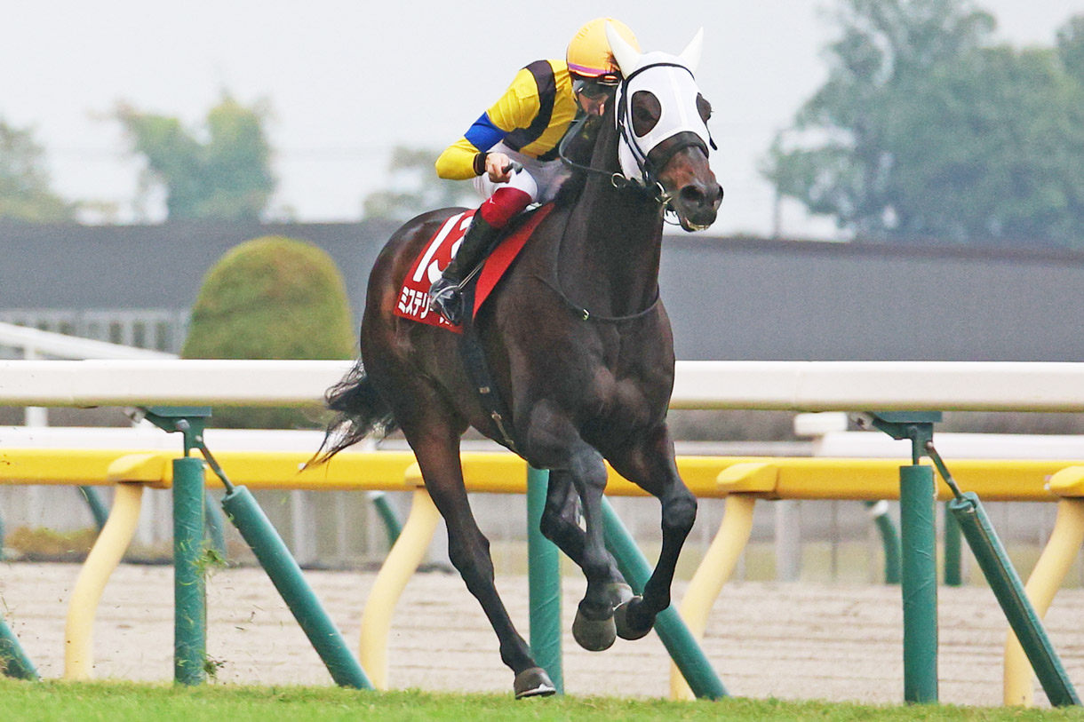 �~�X�e���[�E�F�C