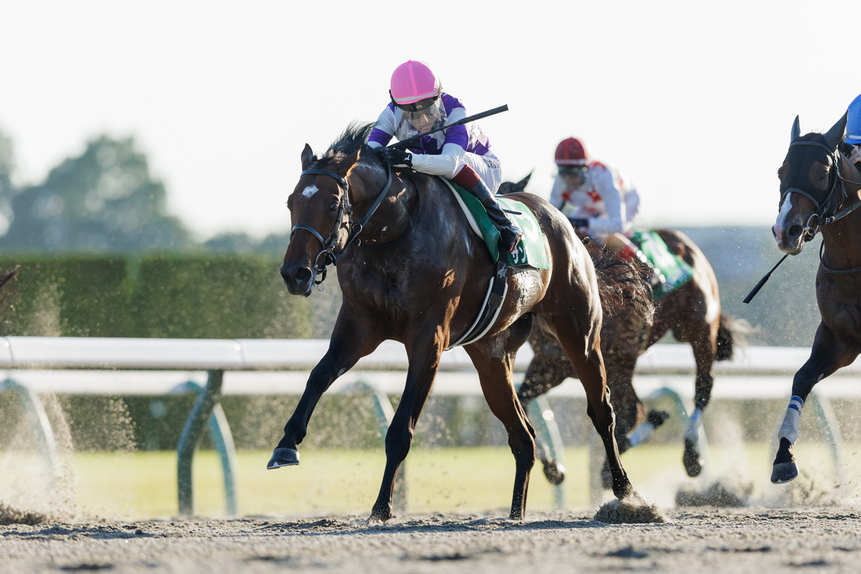 サンライズジパング