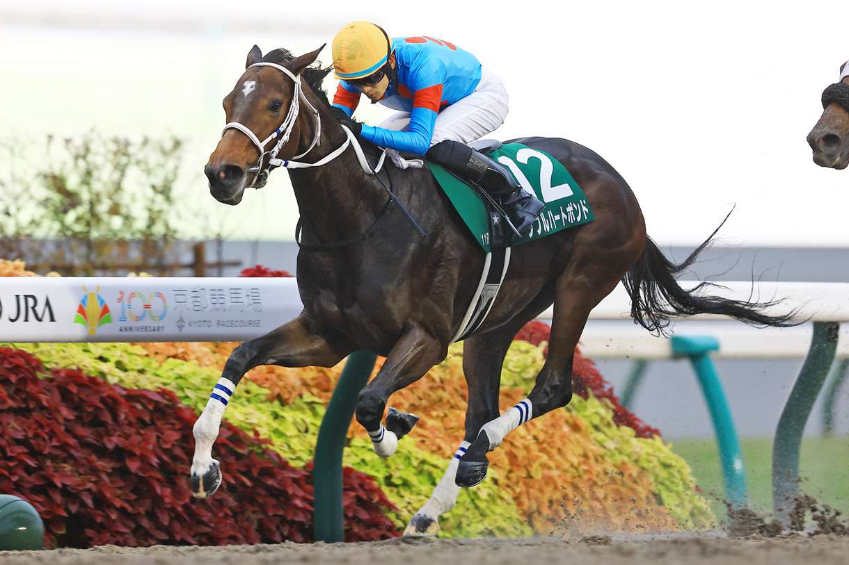 ダブルハートボンド