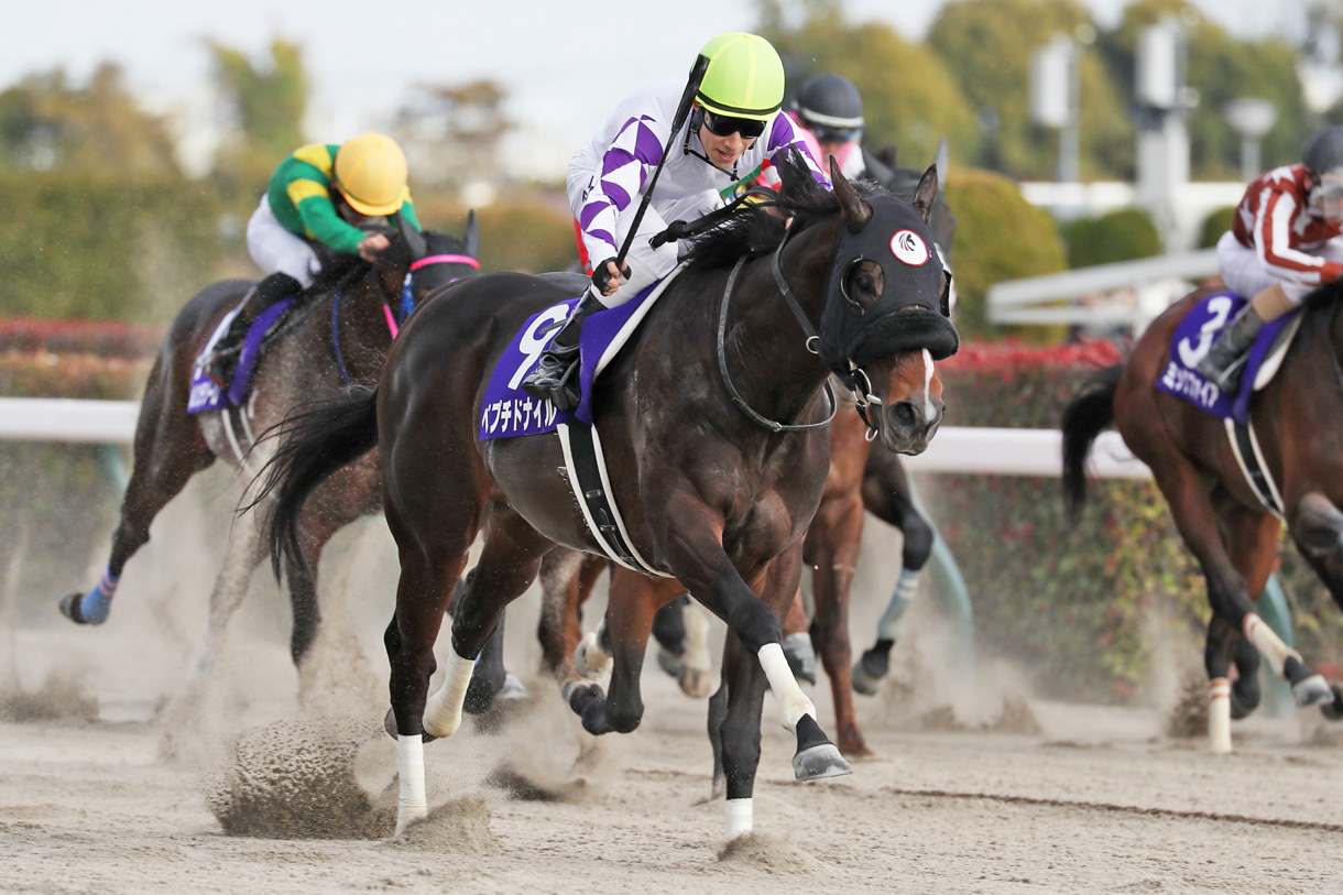 ペプチドナイル